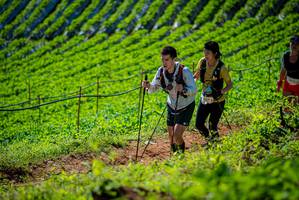 BIB: 
                            <button type="button" onclick="openModal(19162408)" class="btn btn-primary btn-sm float-right btn-popup" data-toggle="modal" data-target=".modal-high-quality">
                        <i class="fas fa-shopping-cart"></i> Add to Cart
                    </button>
                                            <button type="button" onclick="isThisMe(19162408, true)" class="btn btn-success btn-sm float-right btn-popup btn-isme hidden" data-toggle="tooltip" data-placement="bottom" title="นี่คือรูปของคุณใช่ไหม คลิกที่นี่เพื่อเอาเข้าอัลบั้ม">
                        <i class="fas fa-plus"></i> Add to album
                    </button>
                    <button type="button" onclick="isThisMe(19162408, false)" class="btn btn-warning btn-sm float-right btn-popup btn-isnotme hidden">
                        <i class="fas fa-ban"></i> Remove from album
                    </button>